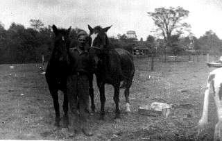 buddy lacey horses.jpg